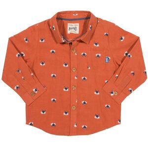 Kite Clothing Boys Foxy Shirt - Orange Cotton - Size 0-3m Kite Clothing Boys Foxy Shirt - Orange Cotton - Size 0-3m