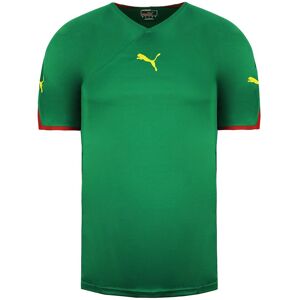 Puma B2b Mens Green T-Shirt - Size 2xl Puma B2b Mens Green T-Shirt - Size 2xl