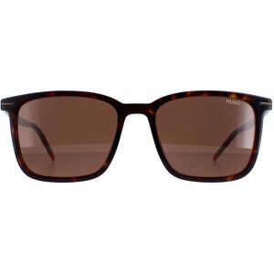 Hugo By Boss Square Mens Dark Havana Brown Hg1168/s - One Size Hugo By Boss Square Mens Dark Havana Brown Hg1168/s - One Size