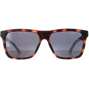 Lacoste Rectangle Mens Matte Havana Grey L972s - Brown - One Size Lacoste Rectangle Mens Matte Havana Grey L972s - Brown - One Size