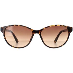 Calvin Klein Cat Eye Womens Tortoise Brown Gradient Ck20517s - One Size Calvin Klein Cat Eye Womens Tortoise Brown Gradient Ck20517s - One Size