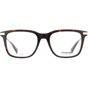 Polaroid Unisex Glasses Frames Dark Havana - Square Thick Acetate - One Size Polaroid Unisex Glasses Frames Dark Havana - Square Thick Acetate - One Size