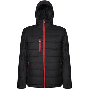 Regatta Mens Navigate Thermal Padded Jacket (Black/classic Red) - Size X-Large Regatta Mens Navigate Thermal Padded Jacket (Black/classic Red) - Size X-Large