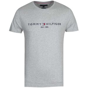 Tommy Hilfiger Mens Tee Ss Core Logo Shirt Grey Cotton - Size 2xl Tommy Hilfiger Mens Tee Ss Core Logo Shirt Grey Cotton - Size 2xl