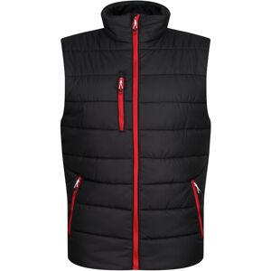 Regatta Mens Navigate Thermal Body Warmer (Black/classic Red) - Size 2xl Regatta Mens Navigate Thermal Body Warmer (Black/classic Red) - Size 2xl