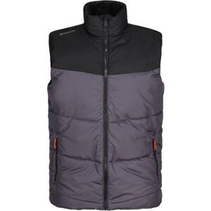 Regatta Mens Regime Insulated Body Warmer (Iron/black) - Multicolour - Size Large Regatta Mens Regime Insulated Body Warmer (Iron/black) - Multicolour - Size Large