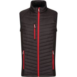 Regatta Mens Navigate Quilted Hybrid Gilet (Black/classic Red) - Size Large Regatta Mens Navigate Quilted Hybrid Gilet (Black/classic Red) - Size Large
