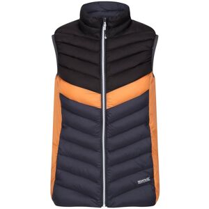 Regatta Womens/ladies Harrock Ii Baffled Gilet (Seal Grey/black) - Size 16 Uk Regatta Womens/ladies Harrock Ii Baffled Gilet (Seal Grey/black) - Size 16 Uk
