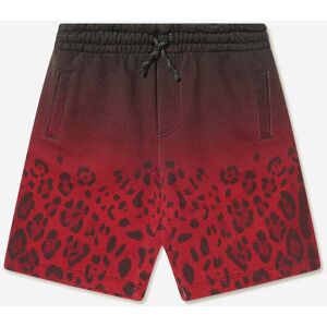 Dolce & Gabbana Kids Boys Cotton Leopard Bermuda Shorts - Multicolour - Size 10y