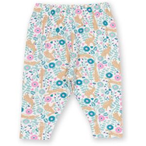 Kite Clothing Baby Girl Hoppity Hare Leggings - Multicolour - Size Newborn