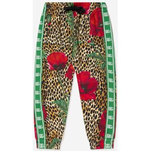 Dolce & Gabbana Childrens Unisex Kids Ocelot And Poppy Joggers - Multicolour - Size 8y