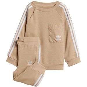 Adidas Originals Boys Boy'S Infants Crewneck Set In Beige Cotton - Size 1-2y