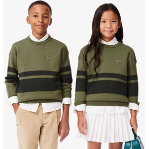 Lacoste Boys Boy'S Juniors Striped Sweatshirt In Green Cotton - Size 16y