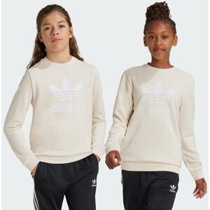 Adidas Originals Kids Unisex Trefoil Crew Sweatshirt - Ivory Cotton - Size 14-15y