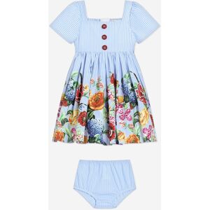 Dolce & Gabbana Baby Girls Floral Print Dress Set In Multicolour - Size 9-12m