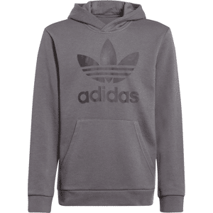 Adidas Originals Boys Boy'S Junior Adicolor Trefoil Hoodie In Grey Cotton - Size 9-10y