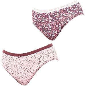 Janira Womens Pack Of 2 Brislip Coquettes Cotton Panties Jpb3 Women - Bordo - Size Large Janira Womens Pack Of 2 Brislip Coquettes Cotton Panties Jpb3 Women - Bordo - Size Large
