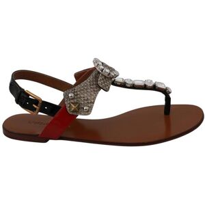 Dolce & Gabbana Womens Leather Ayers Crystal Sandals Flip Flops Shoes - Brown - Size Eu 35