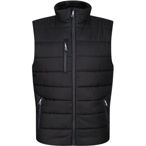 Regatta Mens Navigate Thermal Body Warmer (Black/seal Grey) - Size Large Regatta Mens Navigate Thermal Body Warmer (Black/seal Grey) - Size Large