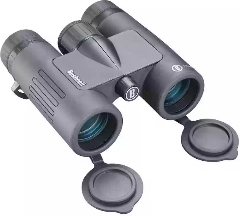 Bushnell Prime 8x32 Roof Prism Binoculars Black- Optics~~Binoculars