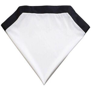 Broncolor additional diffuser for Softbox 35 x 60 1.1 x 2 ft- Photography~~Lighting & Studio Broncolor additional diffuser for Softbox 35 x 60 1.1 x 2 ft- Photography~~Lighting & Studio