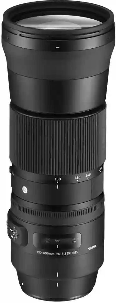 Sigma 150-600mm f/5-6.3 DG OS HSM Contemporary Lens Canon EF- Camera & Optic Accessories~~Camera & Optic Lenses~~Camera Lenses