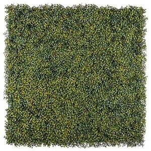 Faux Outdoor Boxwood Wall Panel - 100x100cm