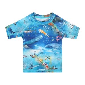 Molo , Light Blue Anti-UV T-Shirt with Marine Animal Print ,Blue male, Sizes: 6 Y, 12 Y, 10 Y, 4 Y, 8 Y