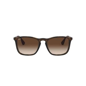 Ray-Ban , Chris Brown Gradient Sunglasses ,Brown male, Sizes: 54 MM