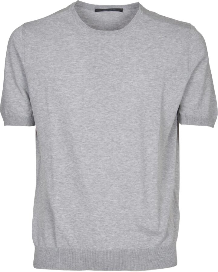 Tagliatore , Men's Clothing T-Shirts & Polos Grey Ss24 ,Gray male, Sizes: 2XL, M