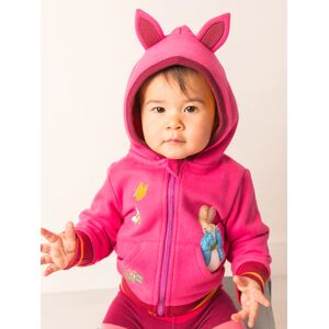 Blade & Rose   Peter Rabbit Autumn Leaf Hoodie