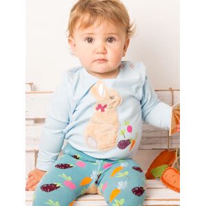 Outlet Blade & Rose   Peter Rabbit Grow Your Own Top
