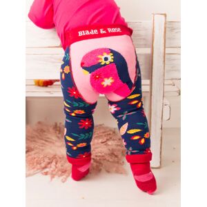 Outlet Blade & Rose   Layla the Parrot Leggings   Unisex Leggings For Babies & Toddlers   Sizes 0-4 Years
