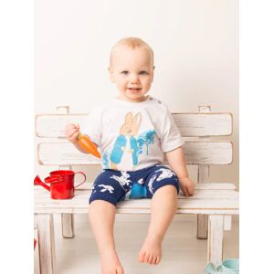 Blade & Rose   Peter Rabbit Navy Tee