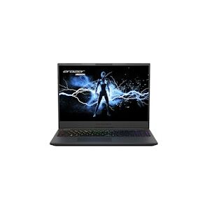 Medion Erazer Major X20 NVIDIA RTX 4070 16GB 16.0 240Hz QHD Intel i7-13700HX Gaming Laptop