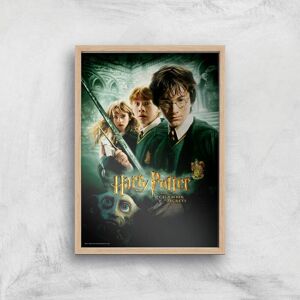 Warner Bros. Studios Harry Potter and the Chamber Of Secrets Giclee Art Print - A4 - Wooden Frame Warner Bros. Studios Harry Potter and the Chamber Of Secrets Giclee Art Print - A4 - Wooden Frame