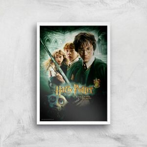 Warner Bros. Studios Harry Potter and the Chamber Of Secrets Giclee Art Print - A3 - White Frame Warner Bros. Studios Harry Potter and the Chamber Of Secrets Giclee Art Print - A3 - White Frame