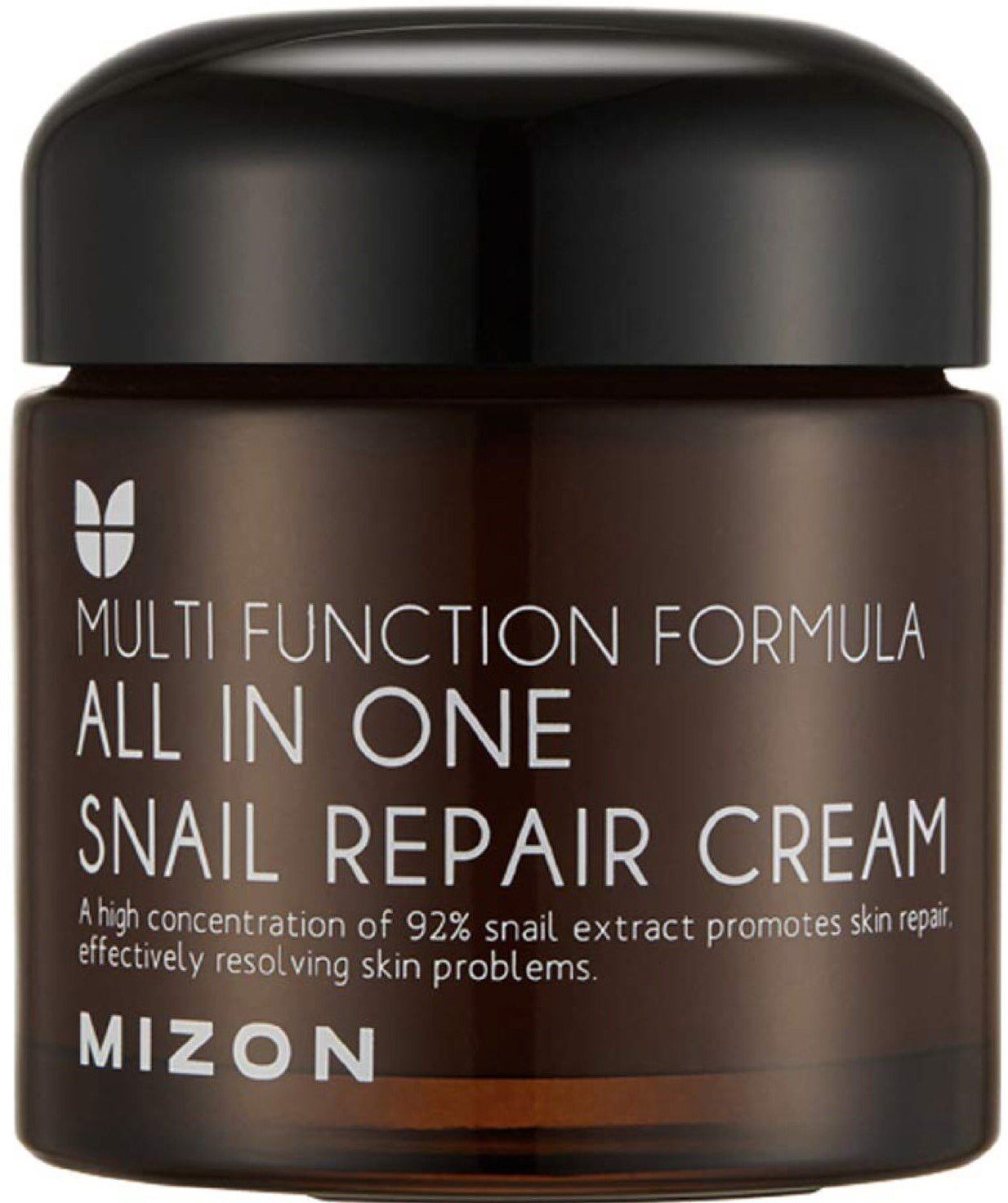 Mizon All in One Snail Repair Cream Multi Function Formula 75mL