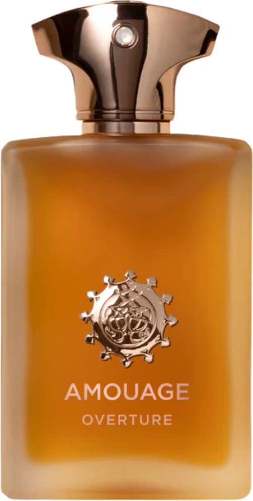 Amouage Overture Man Eau de Parfum 100mL