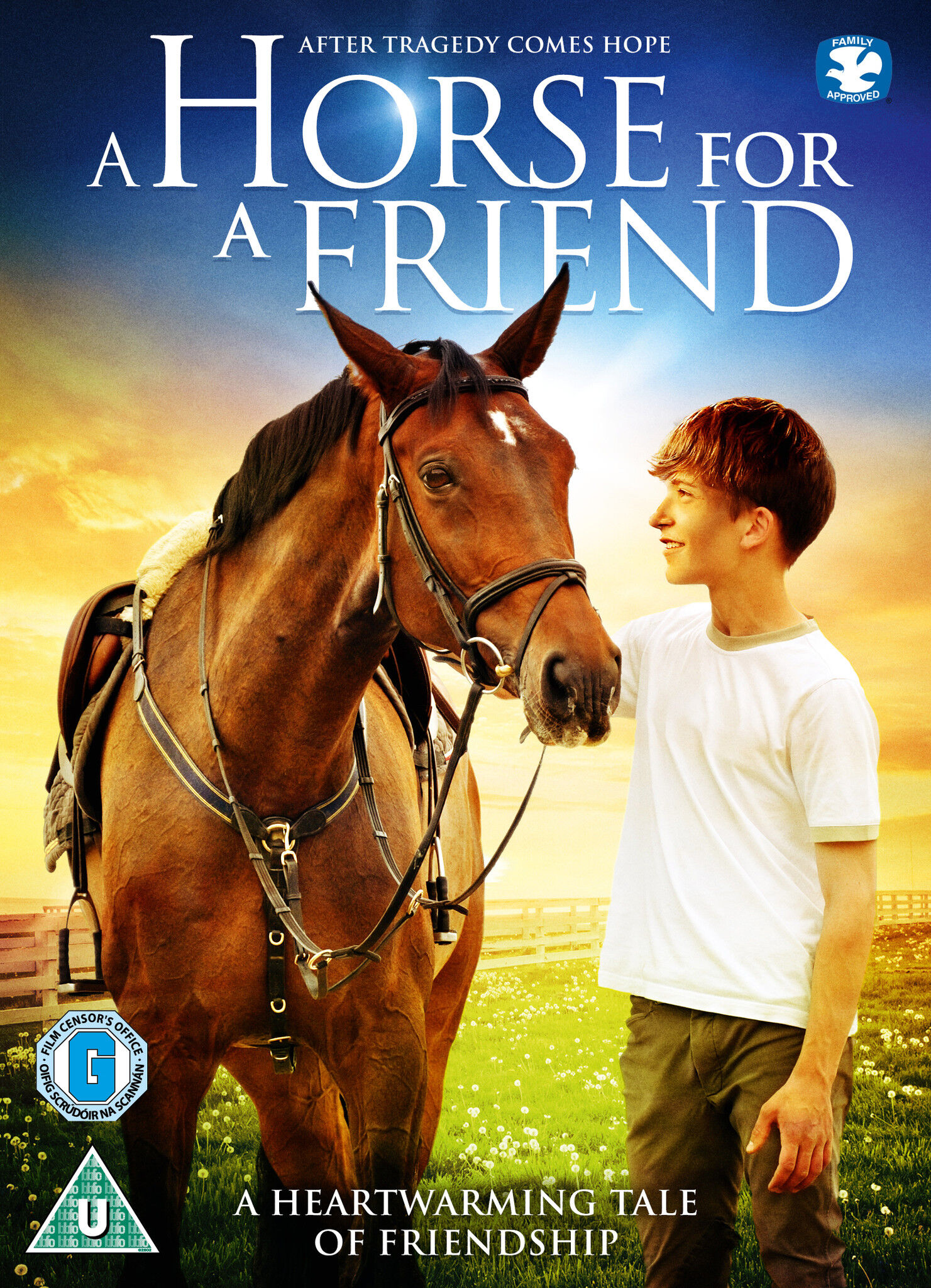 Lace Group A Horse For A Friend DVD