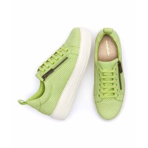 Green Flatform Zip Trainers Women's   Size 3   Dawlish Moshulu - 3