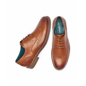 Brown Men's Brogue Shoes   Size 8   Boscastle 2 Moshulu - 8