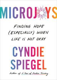 Cyndie Spiegel Microjoys