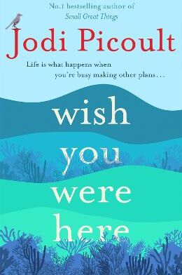 Jodi Picoult Wish You Were Here