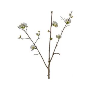 Cherry Blossom Stems - White - 3 Pack   Funky Chunky Furniture  - Funky Chunky Furniture