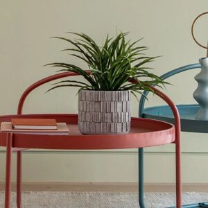 Textural Natural Planter  - Funky Chunky Furniture