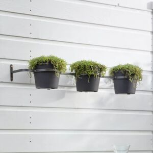 Three Pot Wall Planter - Carbon - Outlet - Save 20%  - Funky Chunky Furniture