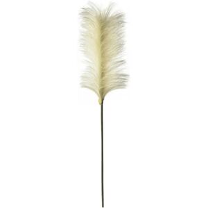 Tall Feather Stem - Cream - Pack of 5   Funky Chunky Furniture  - Funky Chunky Furniture