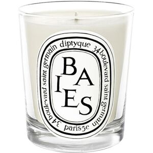 Diptyque - Baies Scented Candle (190g)