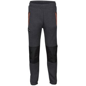 Regatta TRJ395 Jeopardize Joggers S  Seal Grey